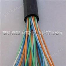 特種耐高低溫、耐高壓扁電纜