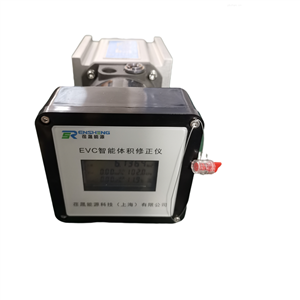 LLQ系列氣體腰輪流量計(jì)