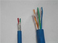 ZR-IA-DJYPV本安型防爆阻燃计算机电缆 安徽天康