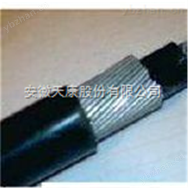 DJYVP3-32計(jì)算機(jī)電纜廠家供應(yīng)