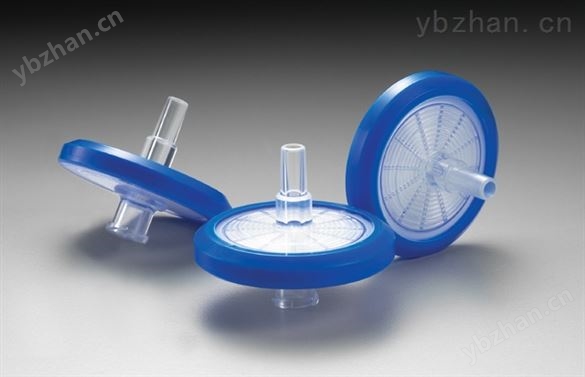 針式過濾器