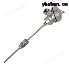 WRNK-281铠装热电偶