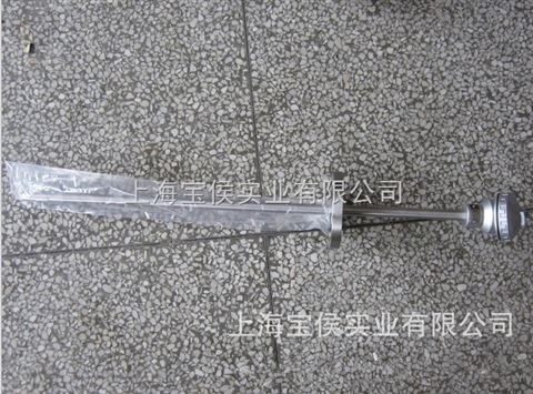 WZP-430法蘭熱電阻